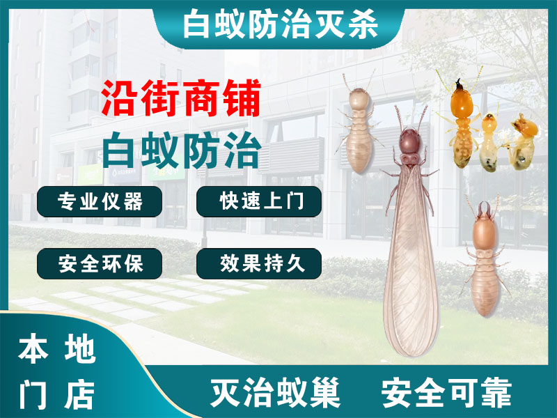 临海沿街商铺白蚁防治