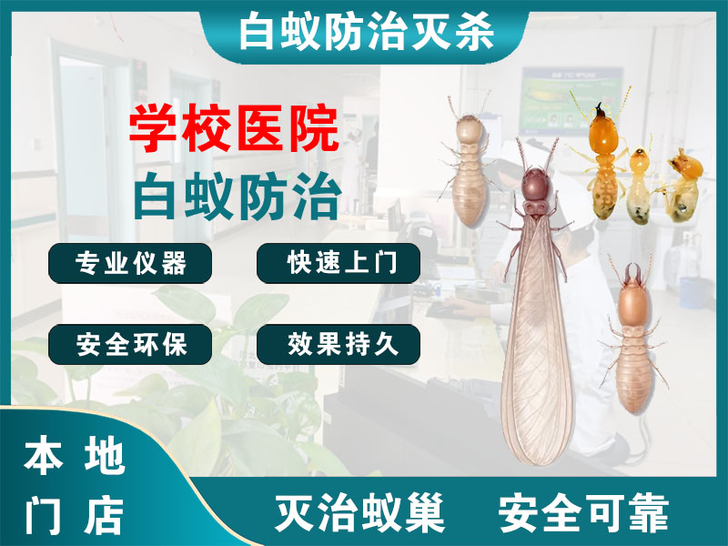 临海学校医院白蚁防治