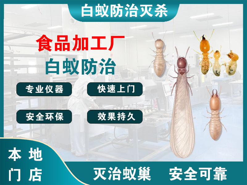 临海食品加工厂白蚁防治