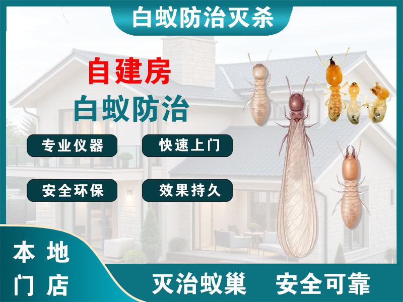 临海自建房白蚁防治