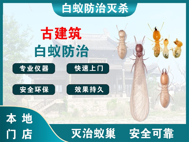 临海古建筑白蚁防治