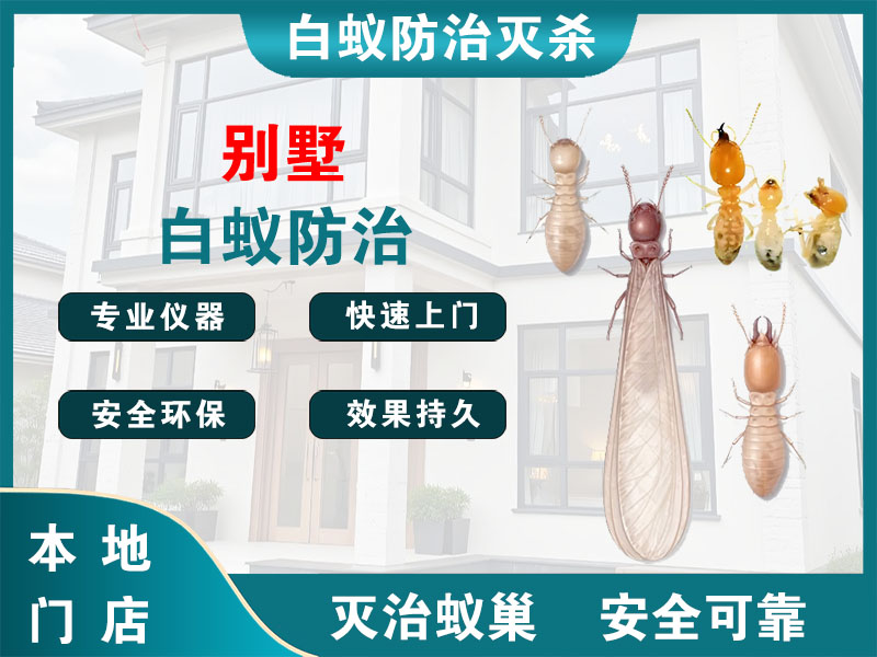 临海别墅白蚁防治