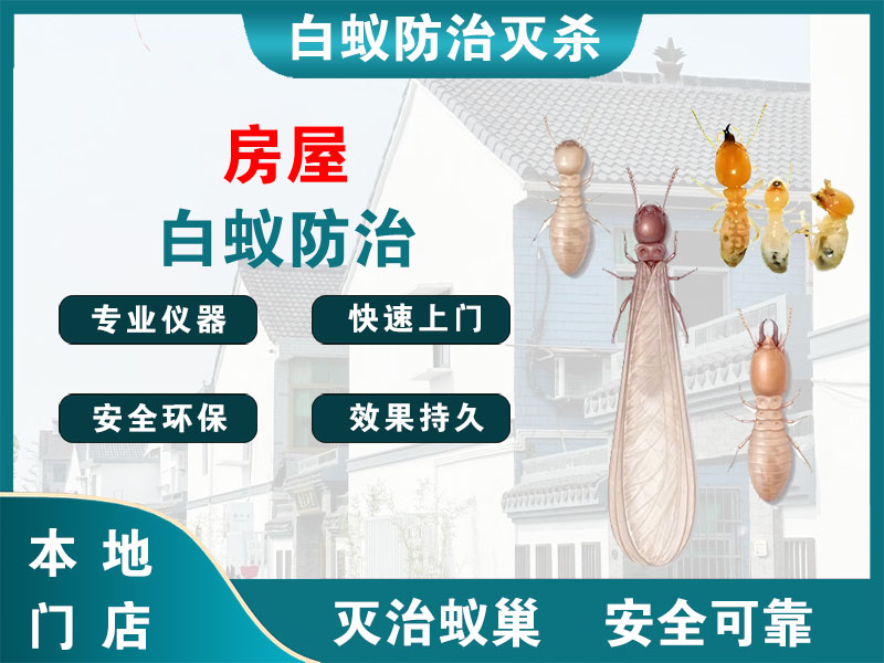 临海房屋白蚁防治